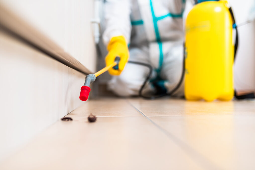 Sparks Cockroach Experts